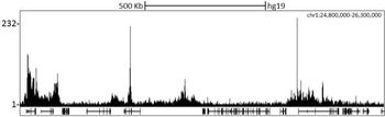 Rabbit CBX2 Antibody