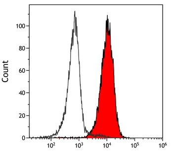 Rabbit anti-BRD7 Antibody