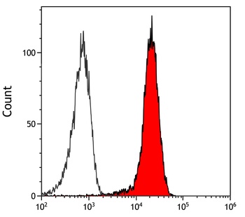 Rabbit anti-BRD7 Antibody