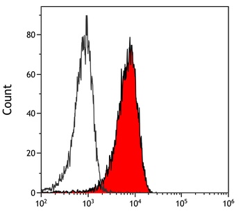 Rabbit anti-Notch2 Antibody