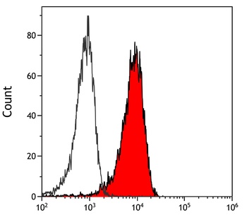 Rabbit anti-Notch2 Antibody
