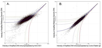Rabbit anti-CHD1 Antibody