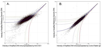 CHD1 Antibody