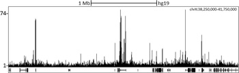 Rabbit anti-CHD1 Antibody