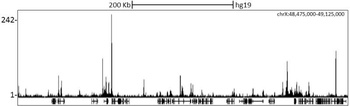 Rabbit anti-NCoR Antibody