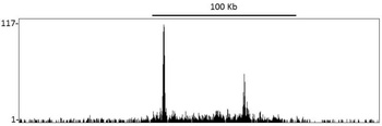 DOT1L Antibody