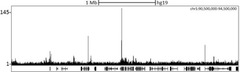 Rabbit anti-CBX8 Antibody