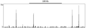 Rabbit anti-TIF1 Alpha/TRIM24 Antibody
