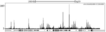 Rabbit anti-RbBP5 Antibody