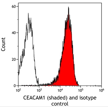 Rabbit anti-CEACAM1 Recombinant Monoclonal Antibody