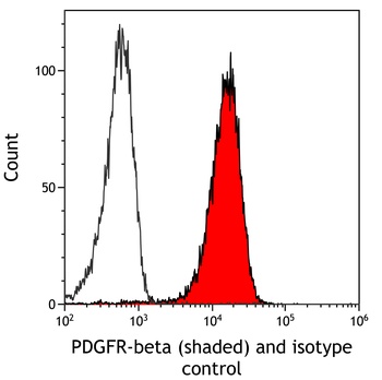 Rabbit anti-PDGFR beta Recombinant Monoclonal Antibody