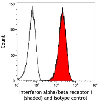 Rabbit anti-Interferon alpha/ beta receptor 1 Recombinant Monoclonal Antibody