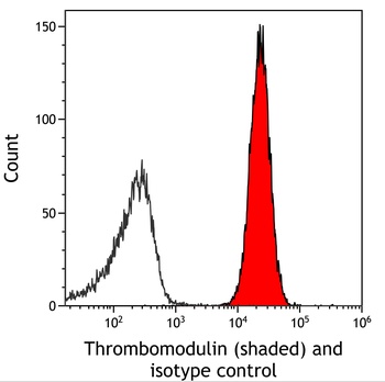 Thrombomodulin Antibody