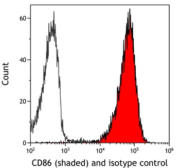 Rabbit anti-CD86 Recombinant Monoclonal Antibody