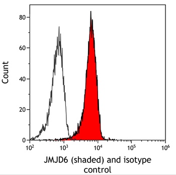Rabbit anti-JMJD6 Recombinant Monoclonal Antibody