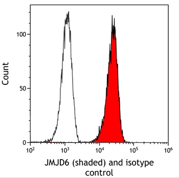 Rabbit anti-JMJD6 Recombinant Monoclonal Antibody