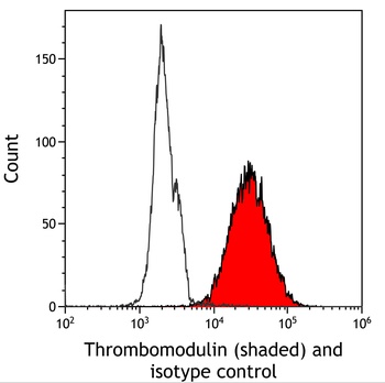 Thrombomodulin Antibody