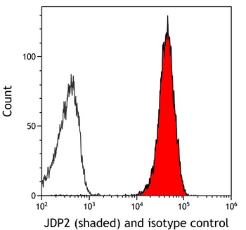 Rabbit anti-JDP2 Recombinant Monoclonal Antibody