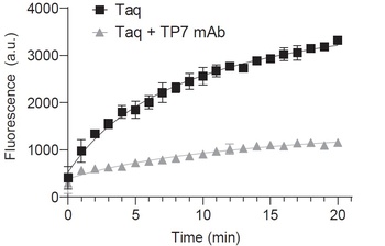 Taq Polymerase Antibody