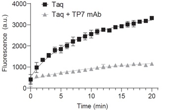 Mouse anti-Taq Polymerase Recombinant Monoclonal Antibody