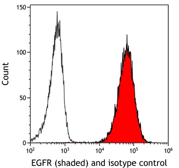 Rabbit anti-EGFR Recombinant Monoclonal Antibody