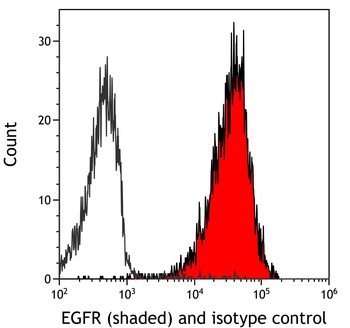 EGFR Antibody