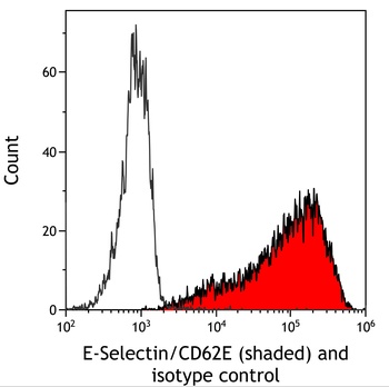 Rabbit anti-E-Selectin/CD62E Recombinant Monoclonal Antibody