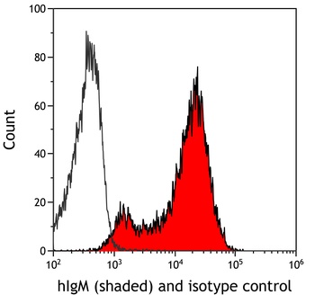 Rabbit anti-IgM Recombinant Monoclonal Antibody