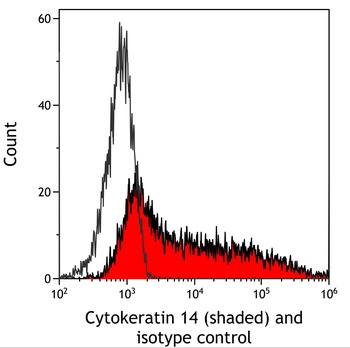 Mouse anti-Cytokeratin 14 Recombinant Monoclonal Antibody