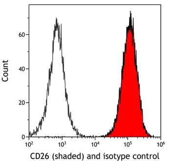 Rabbit anti-DPP4/CD26 Recombinant Monoclonal Antibody