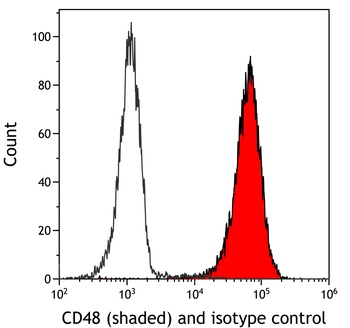 Rabbit anti-CD48 Recombinant Monoclonal Antibody