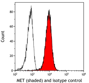 Rabbit anti-Met Recombinant Monoclonal Antibody