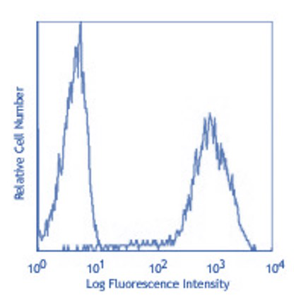 CD63 Antibody