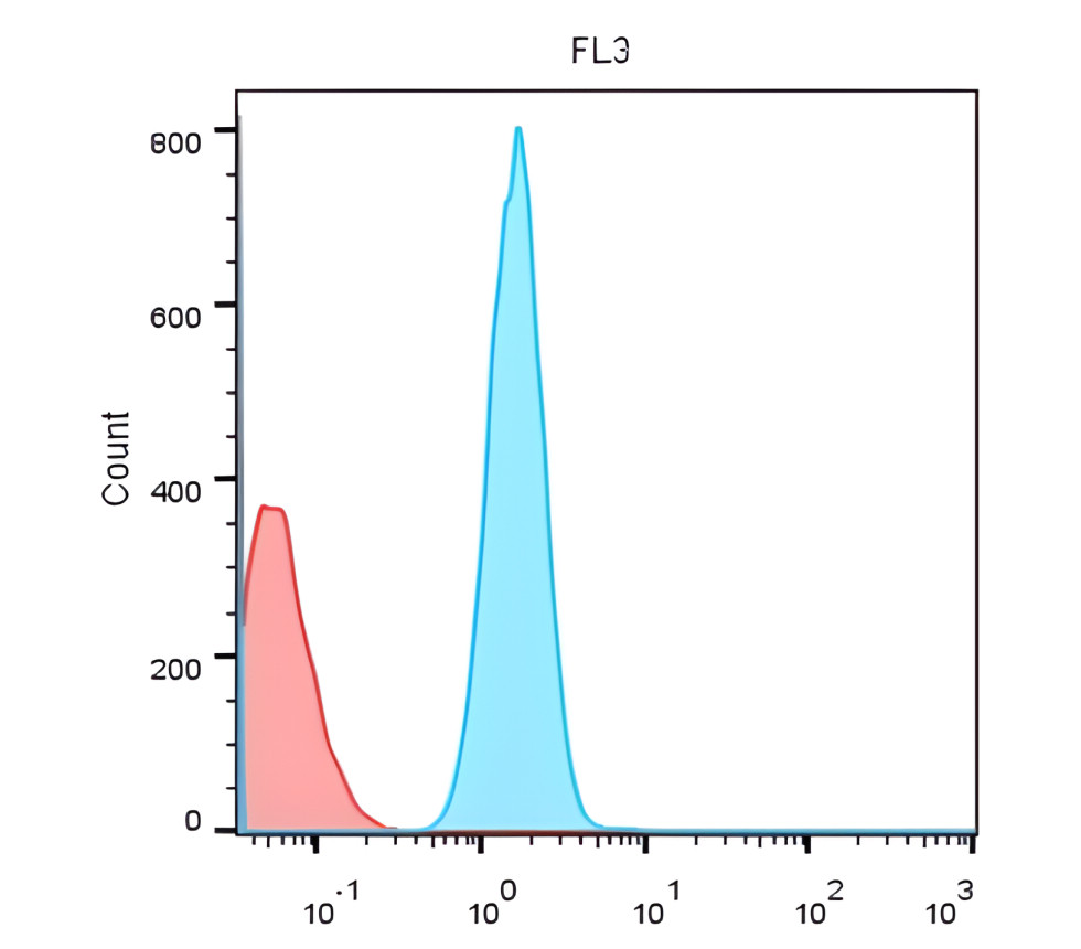 CD19 Antibody