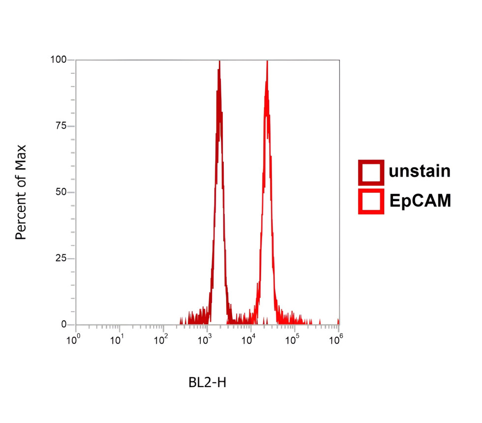 EpCAM (Extracellular domain) antibody