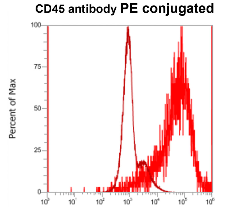 CD45 (Intracellular domain) antibody