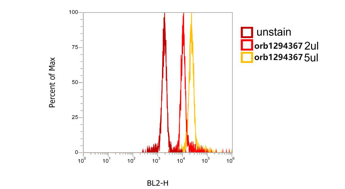 CD45 (Extracellular domain) antibody