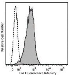 LAMP2 / CD107b, monoclonal