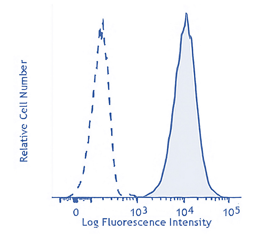 CD31 human specific