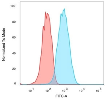 CELF2 Antibody / CUGBP2 / ETR3
