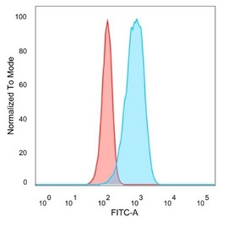 CELF2 Antibody / CUGBP2 / ETR3