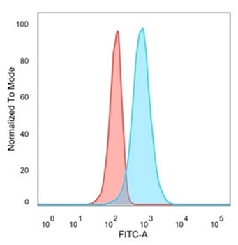 CELF2 Antibody / CUGBP2 / ETR3