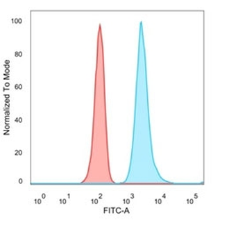 NOC4L Antibody