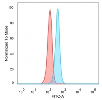 JUNB Antibody
