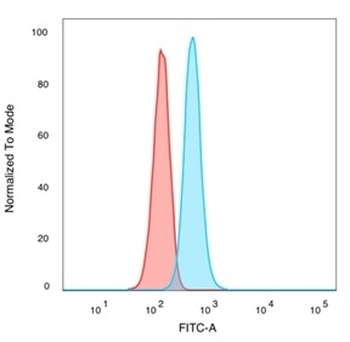 TIF1 alpha Antibody / TIF1A / TRIM24