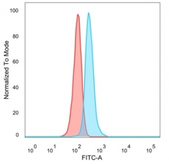 GTF2IRD2 Antibody / GTF2IRD2 alpha