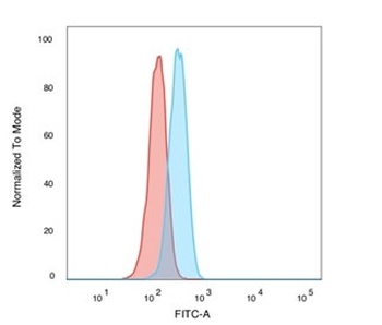 POLE3 Antibody / CHRAC-17