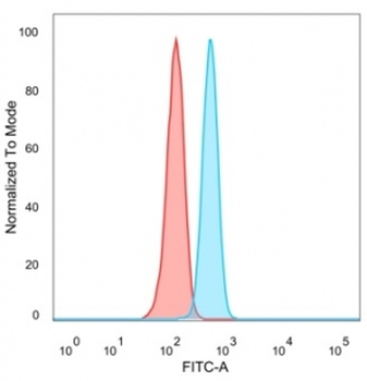 Th-Pok Antibody / ZBTB7B