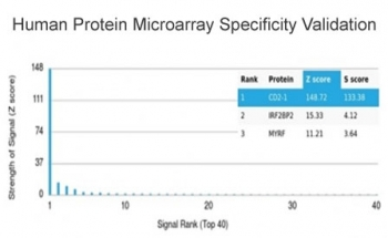 CD2 Antibody