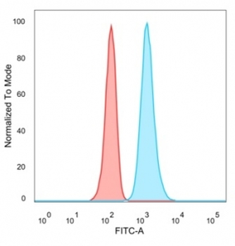 JUNB Antibody